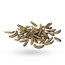 Caraway