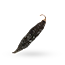 Ají panca