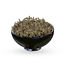 Cumin