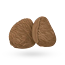 Kluwak nuts