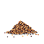Mustard Seeds
