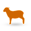 Lamb