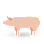 Pork