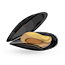 Mussels