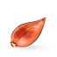 Shallots