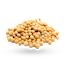White Pepper