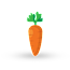Carrot