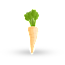 Parsnip
