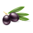 Olives