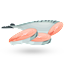 Mackerel